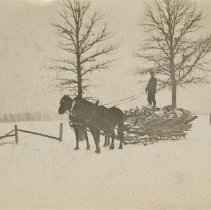 Omc1985.008.171 Image 600dpi